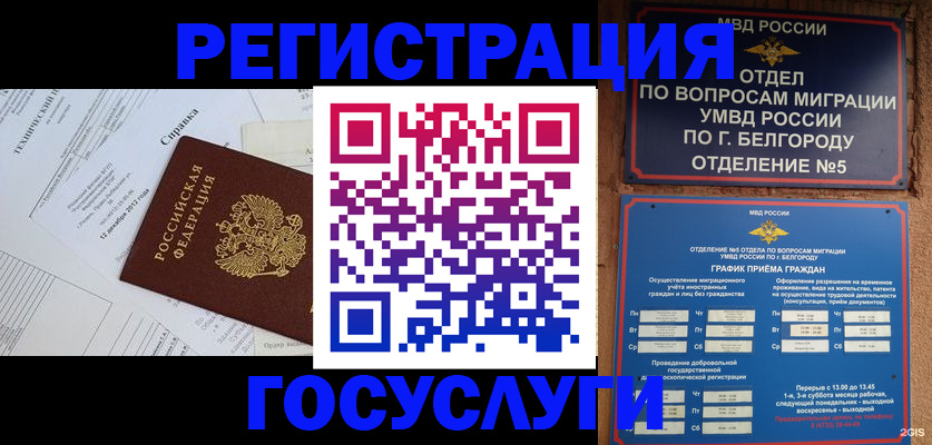временная прописка в Губкинском